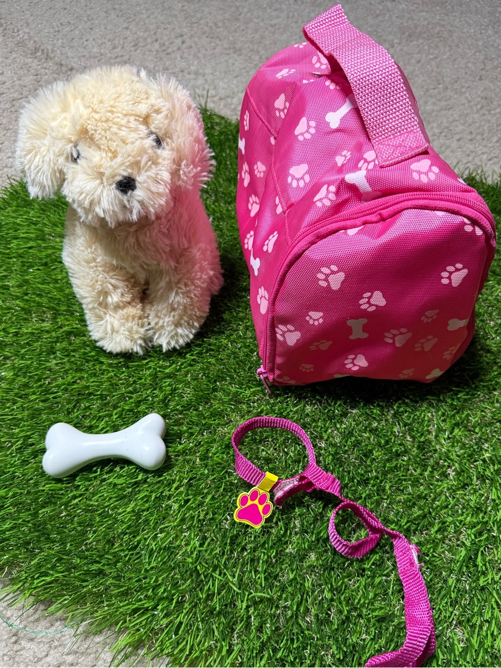 Pink Pet Travel Bag and Leash Set with Paw Print Charm